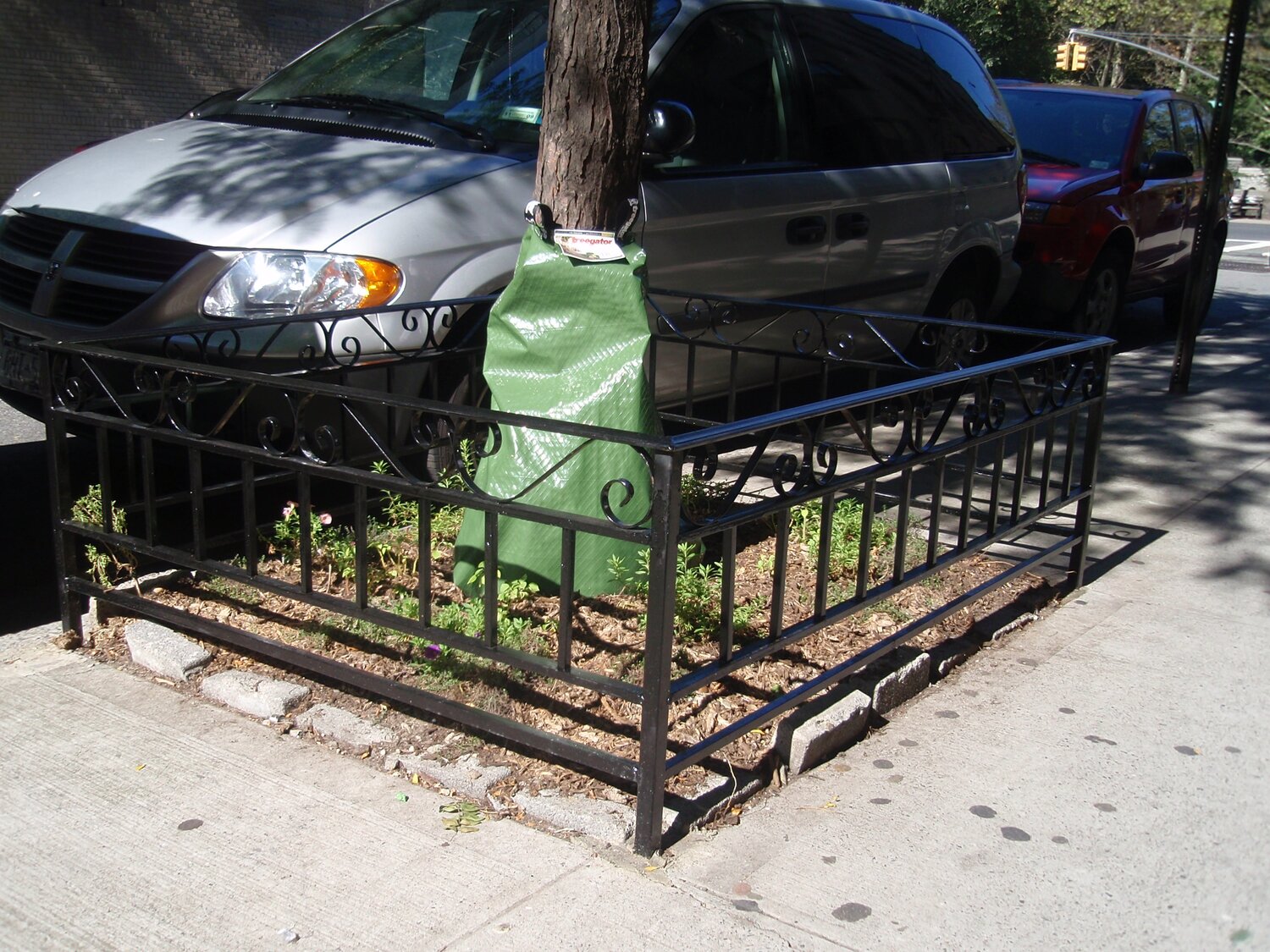 Tree Guard 10