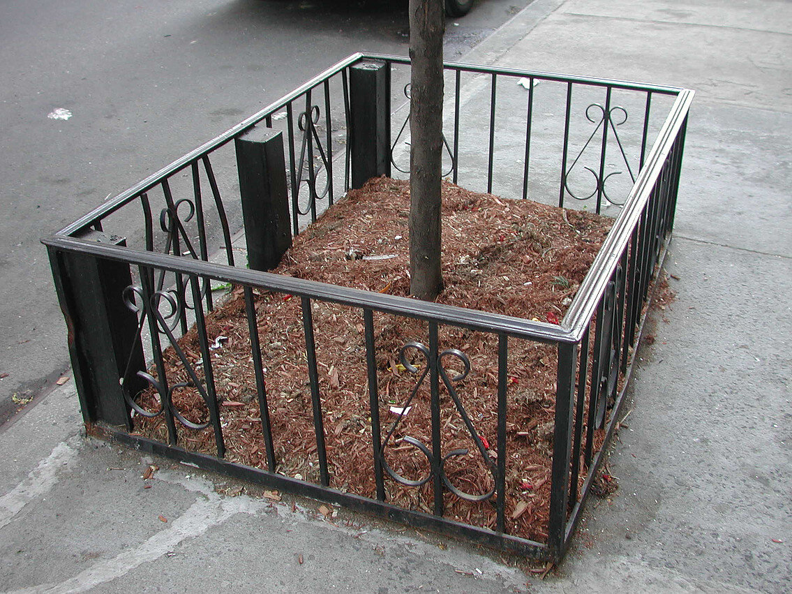 Tree Guard 19