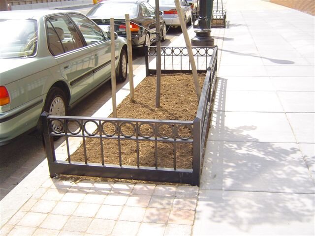Tree Guard 41