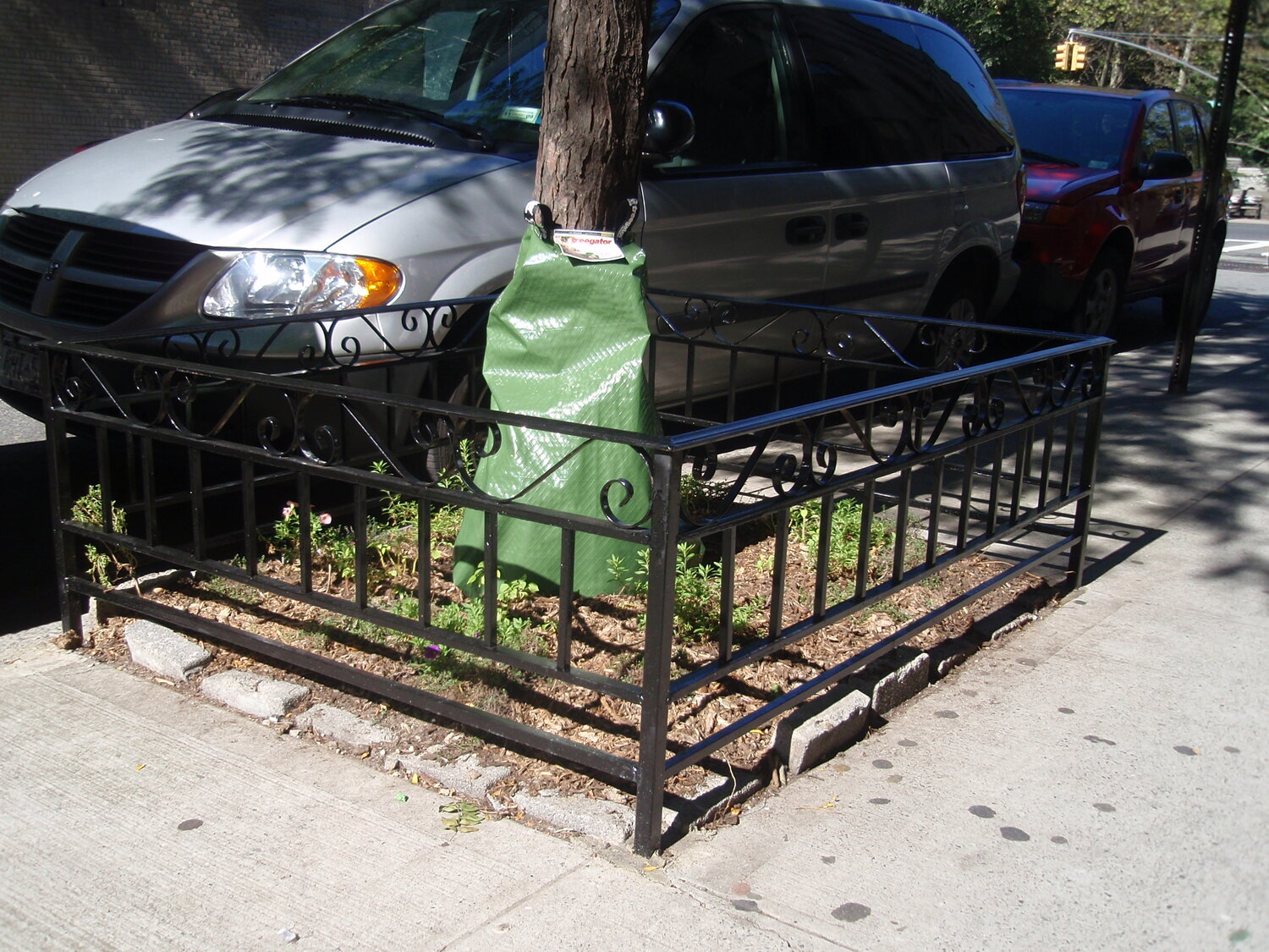 Tree Guard 43