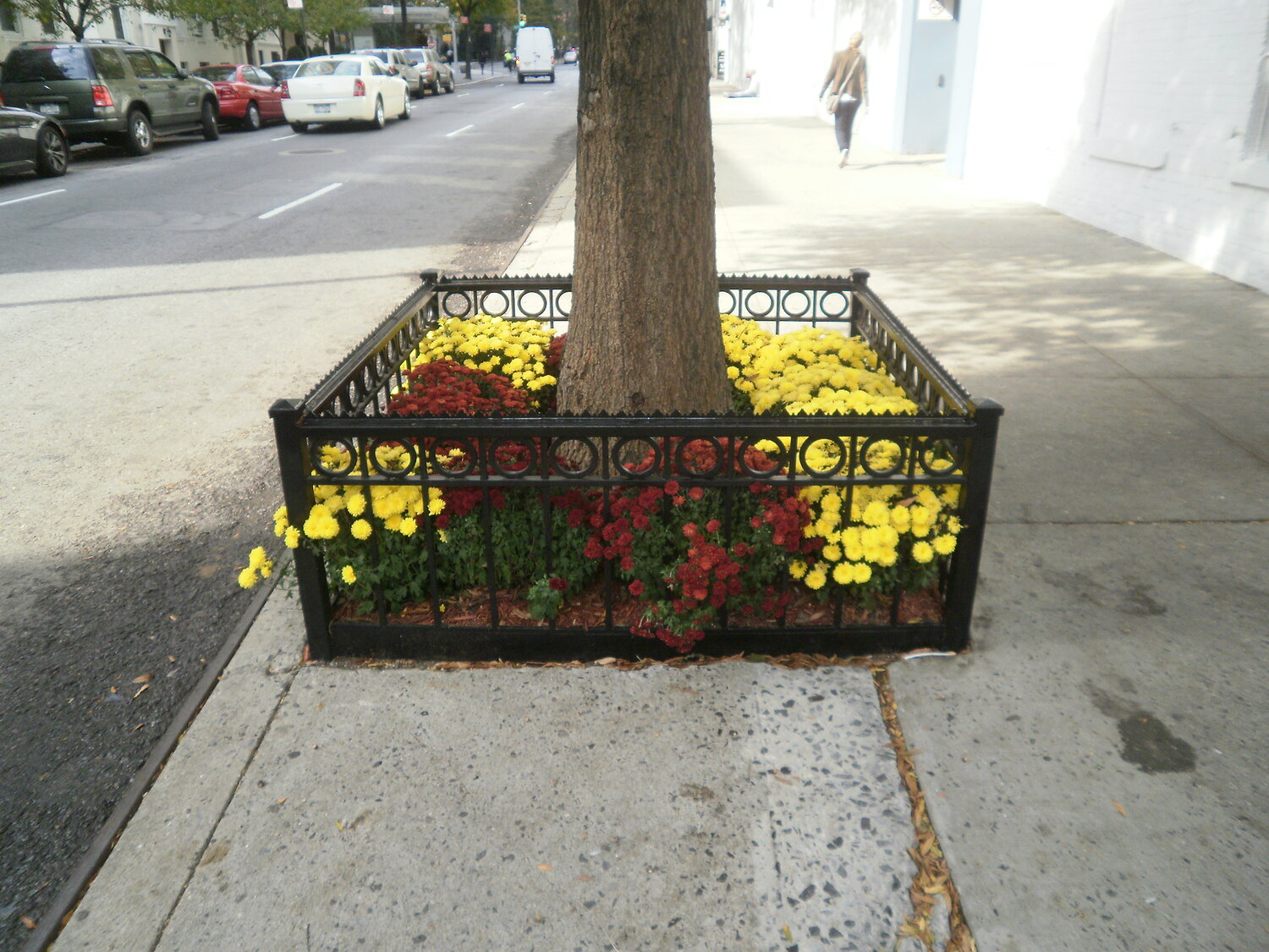 Tree Guard 45