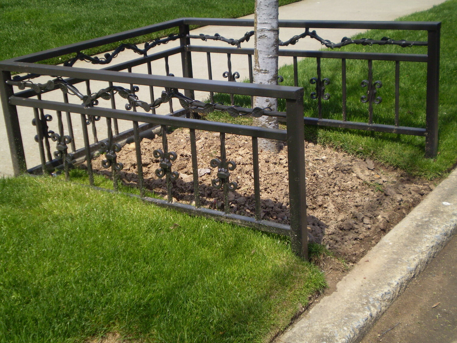 Tree Guard 49