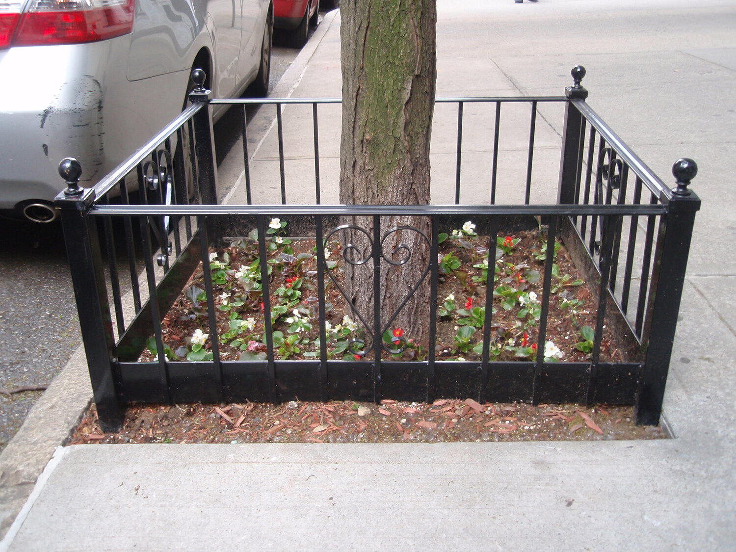 Tree Guard 50