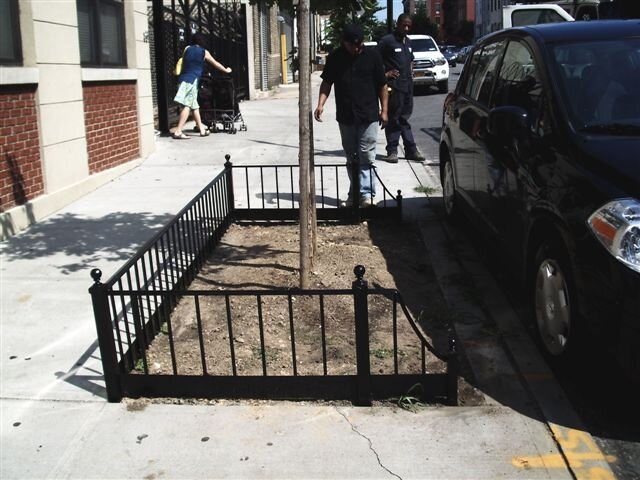 Tree Guard 51