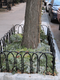 Tree Guard 56