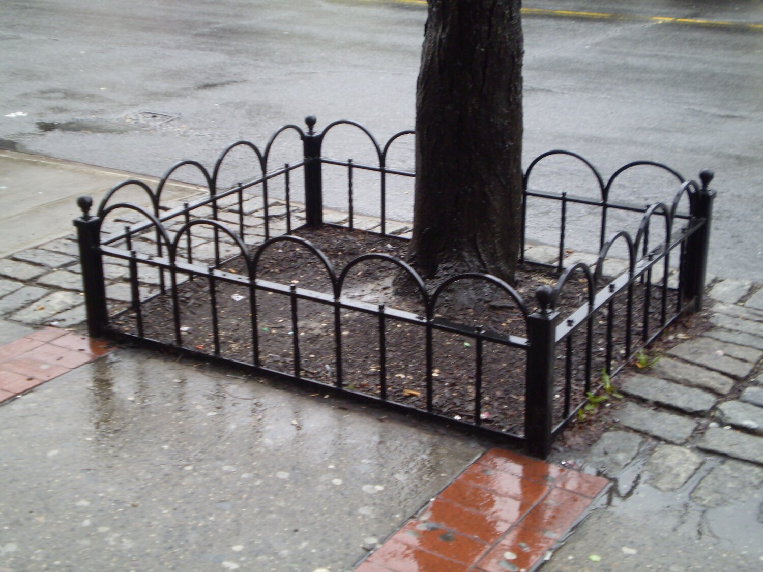 Tree Guard 6