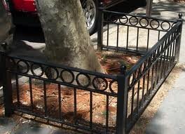 Tree Guard 62