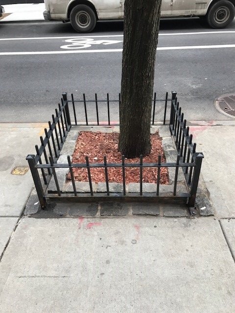 Tree Guard 65