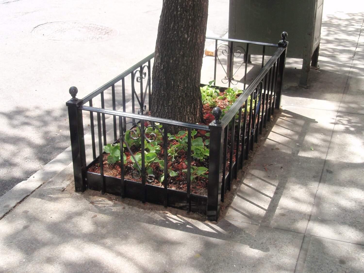 Tree Guard 7