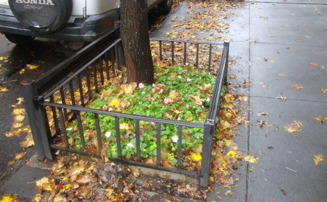 Tree Guard 71